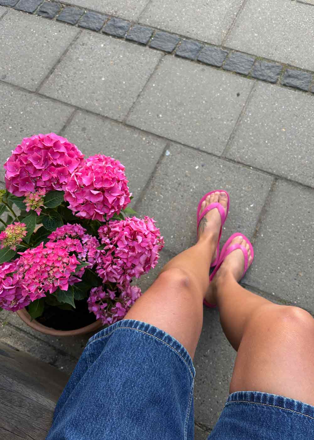 Havaianas - Pink - Image 2