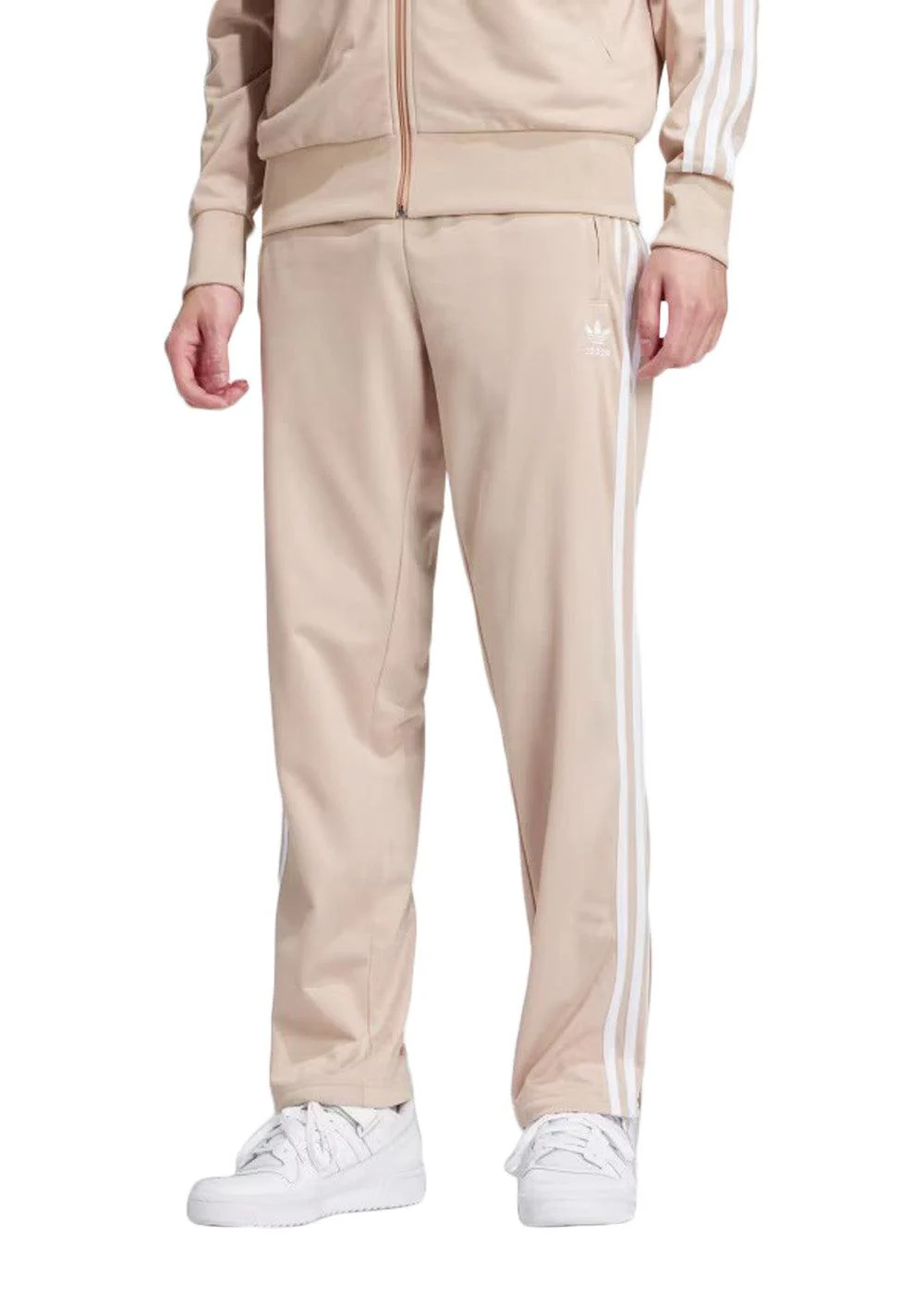 FIREBIRD TP - Magic Beige - Image 2