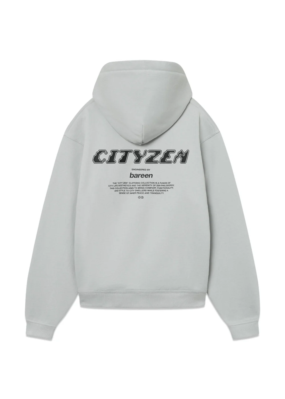 BOJAN - OVERSIZED HOODIE - Micro Chip - Image 3