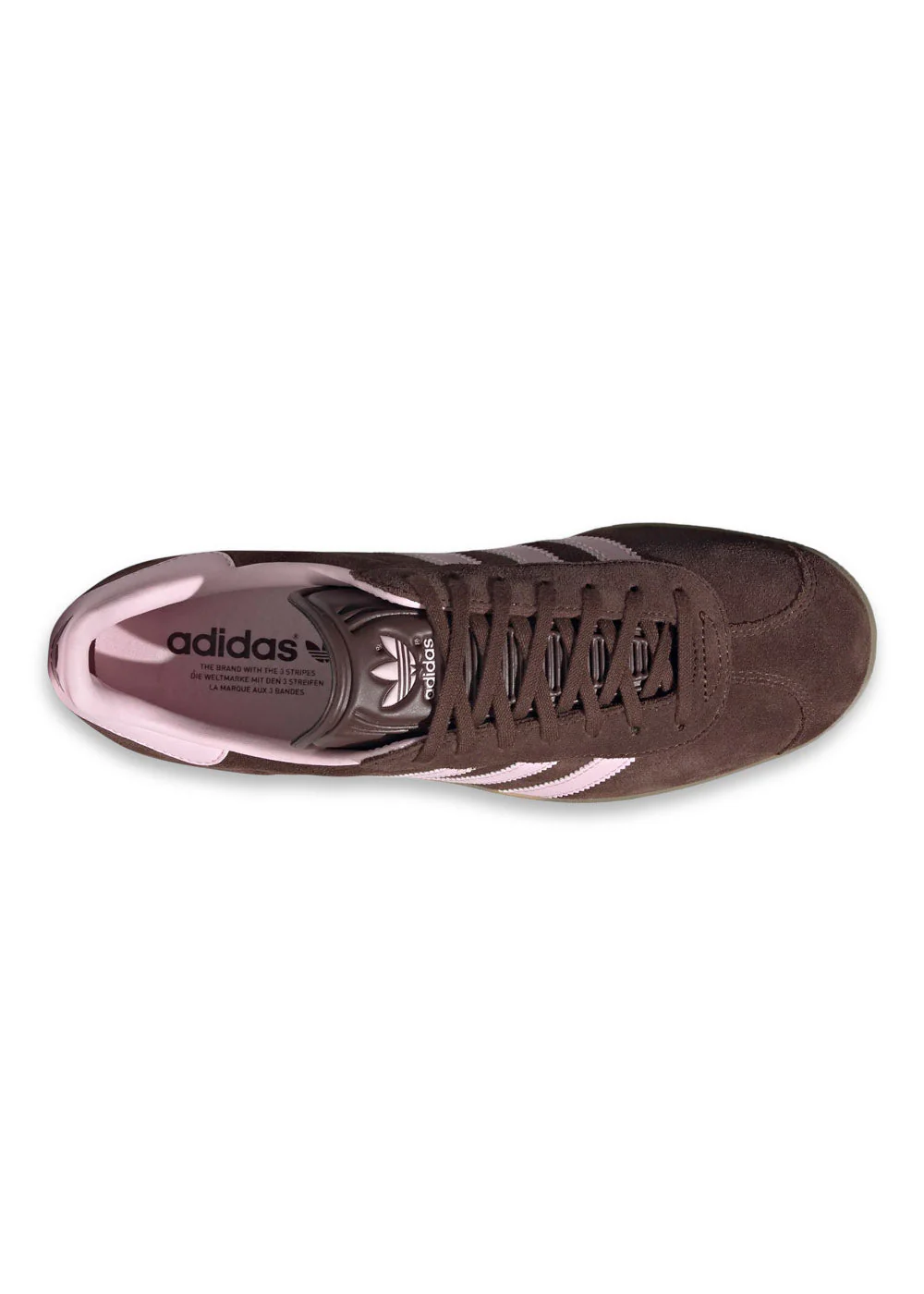 GAZELLE - Auburn - Image 3