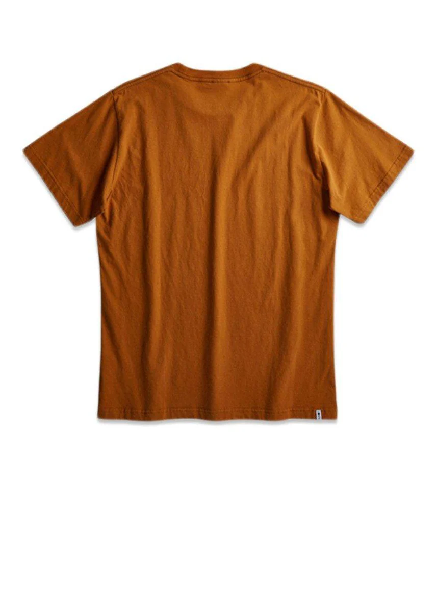 Etienne Print Tee 3471 - Pumpkin - Image 3