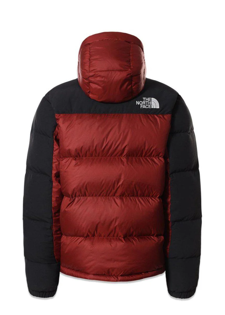 M HMLYN DOWN PARKA - Brick House Red - Image 2