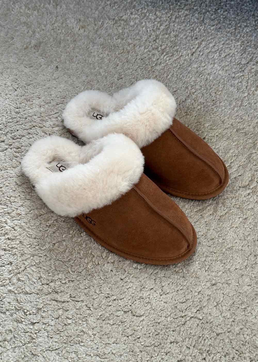 W Scuffette II - Chestnut - Image 5
