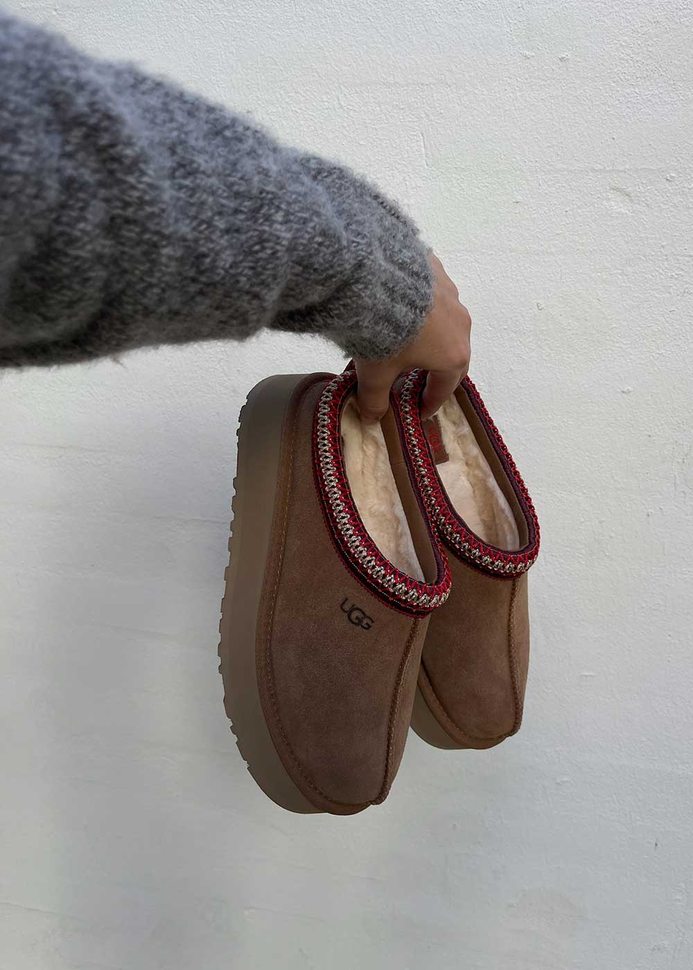 W Tazz - Chestnut - Image 3