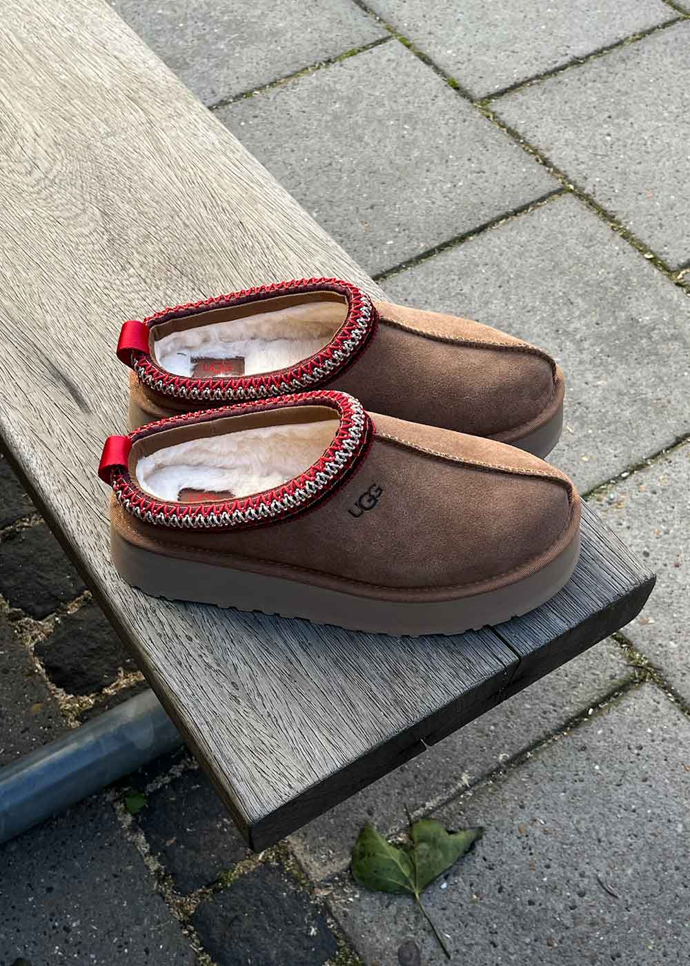W Tazz - Chestnut - Image 4
