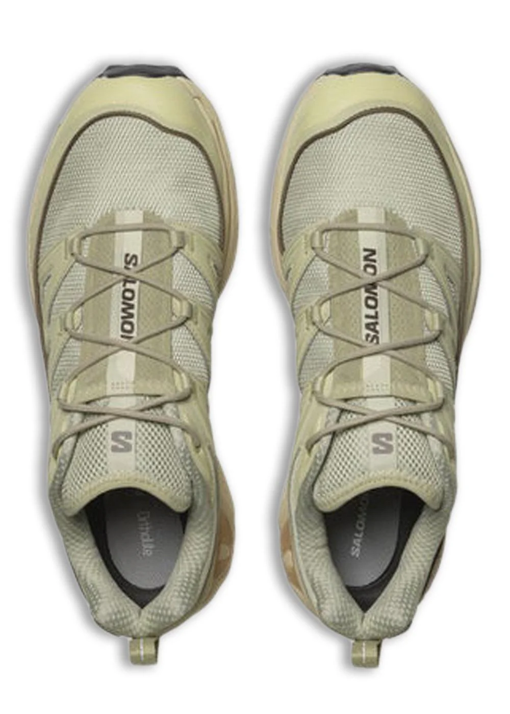 XT-6 EXPANSE - Alfalfa / Shortbread / Aloe Wash - Image 3