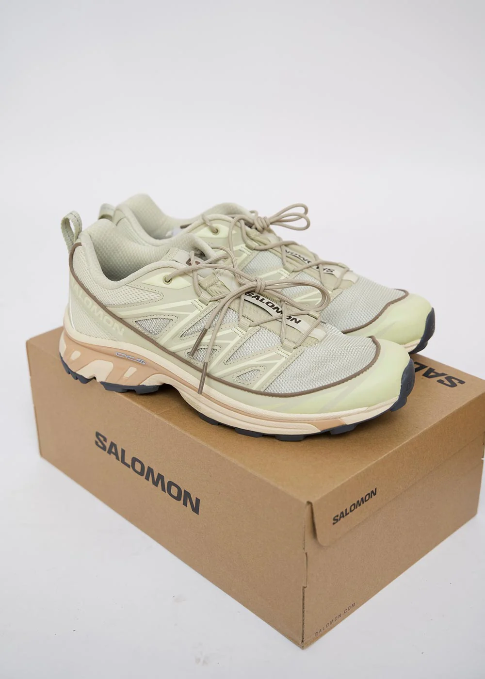 XT-6 EXPANSE - Alfalfa / Shortbread / Aloe Wash - Image 4