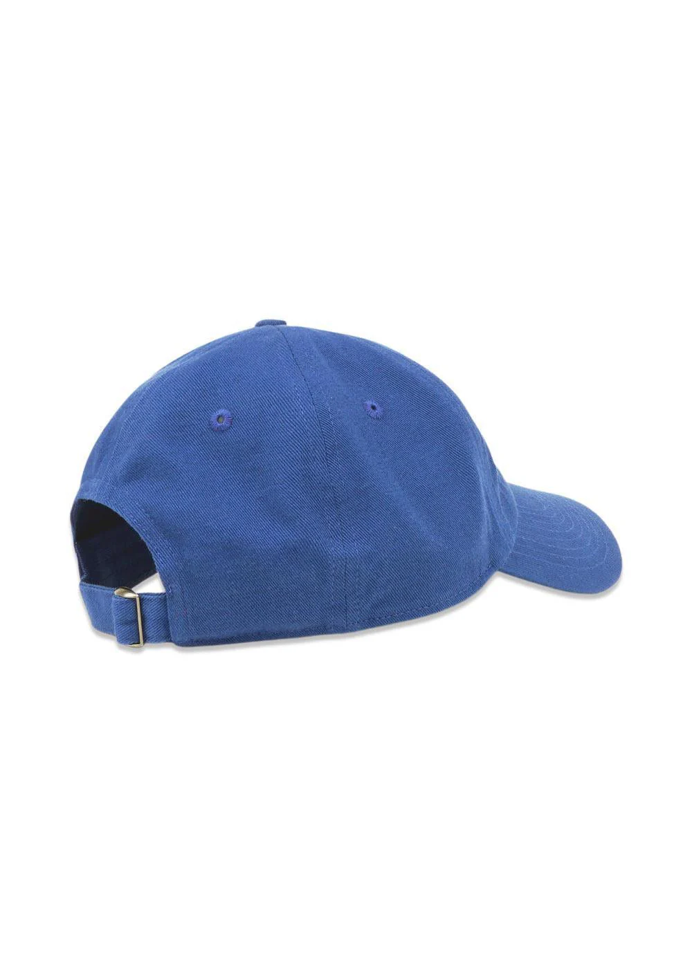 Health is Wealth Hat - Paris Blue - Image 4