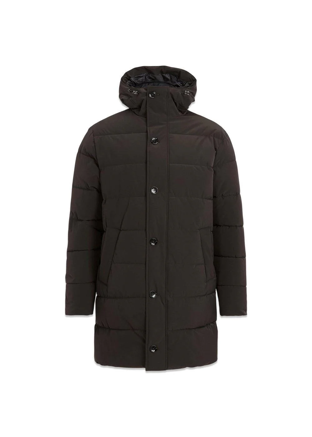 Padded Parkas - Terra Brown