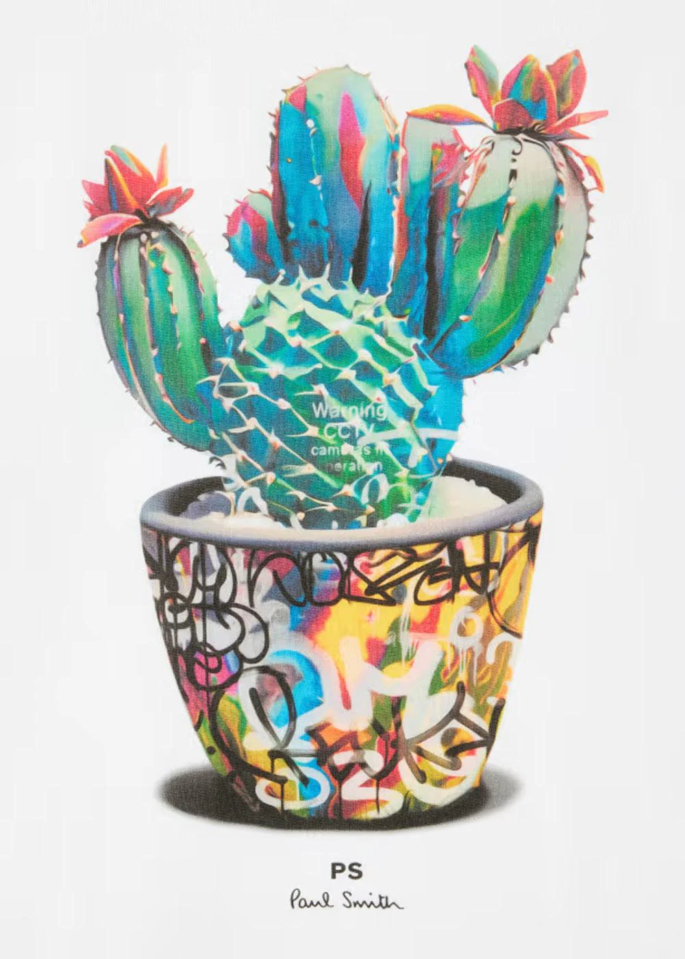 Reg Fit T-Shirt Cactus - White - Image 3