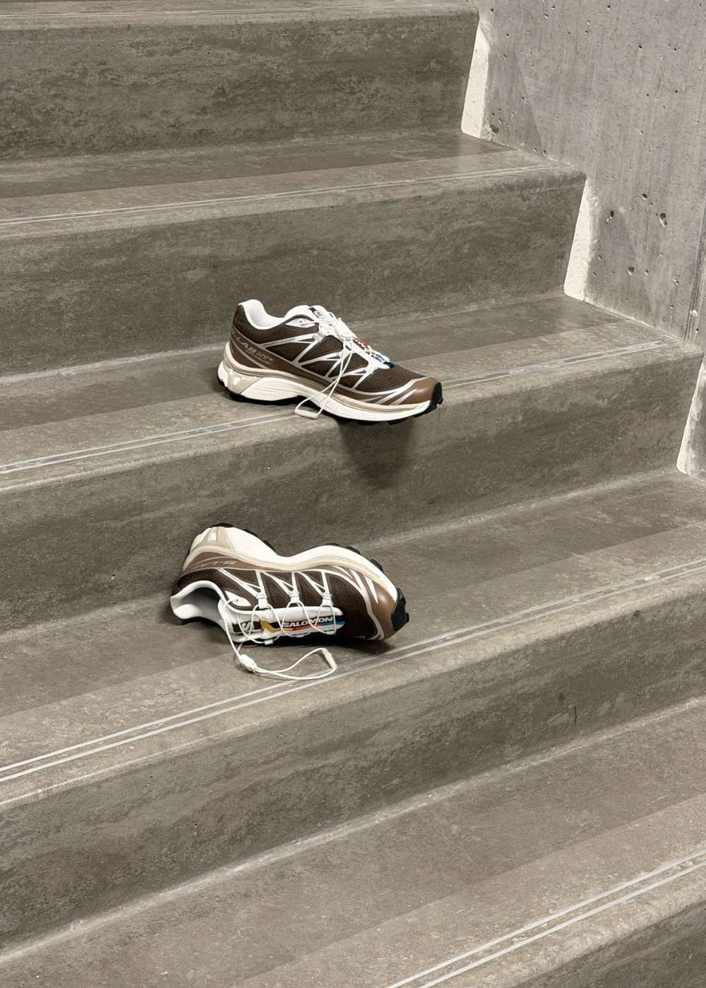 XT-6 - Earth Brown / Walnut / Ftw Silver - Image 6
