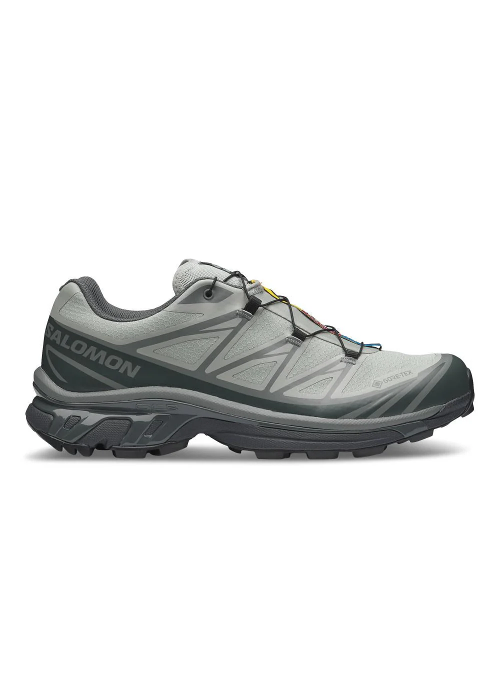 XT-6 GORE-TEX - Wrought Iron / Urban Chic / Sedona Sage